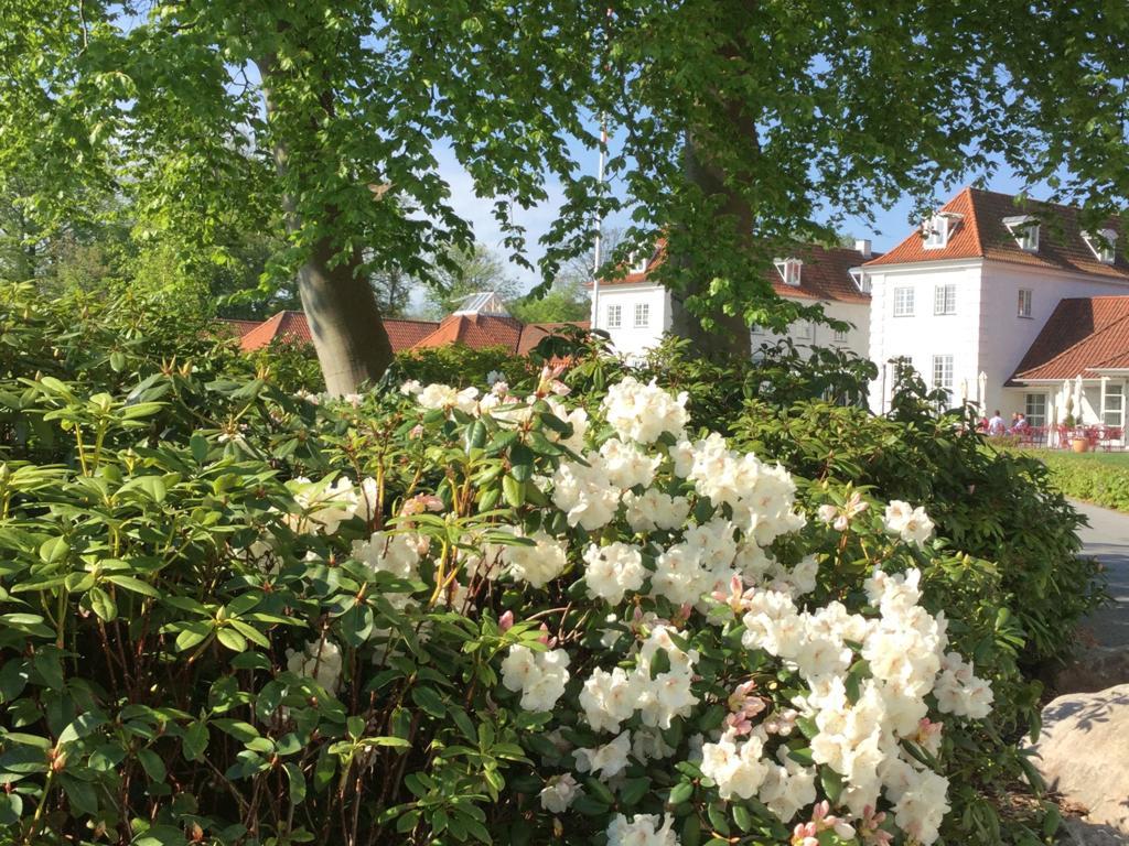 Hotel Rungstedgaard Exterior foto